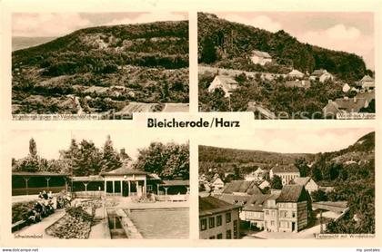 Bleicherode Waldhaus Japan Schwimmbad Vogelbergklippen Waldschloesschen
