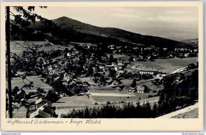 51457248 - Bodenmais