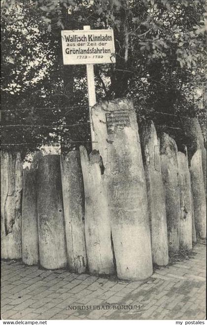 Borkum Walfisch Kinnladen