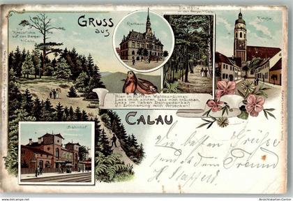 13564368 - Calau