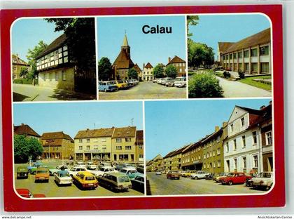39394845 - Calau