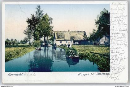 50875285 - Luebbenau