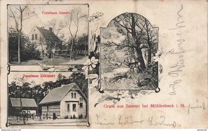 AK Summt b. Mühlenbeck Forsthaus Zühlslake Forsthaus Summt Brandenburg 1909
