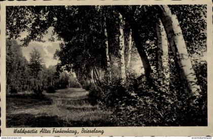 CPA Brieselang im Havelland, Waldspaziergang Alter Finkenkrug