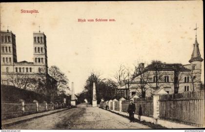 CPA Straupitz in Brandenburg, Blick vom Schloss aus, Dom