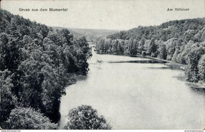 CPA Tiefensee Werneuchen in der Mark, Blumental Am Mittelsee