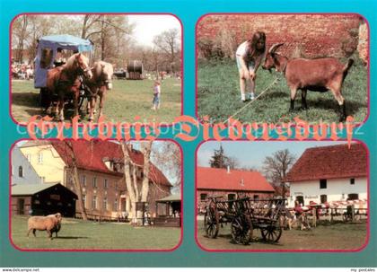 Diedersdorf Seelow Erlebnis Bauernhof Pferdegespann Ziege Leiterwagen