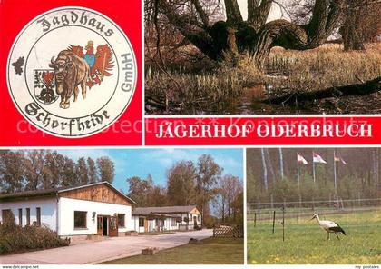 Liepe Jueterbog Jaegerhof Oderbruch Storch Uferboeschung