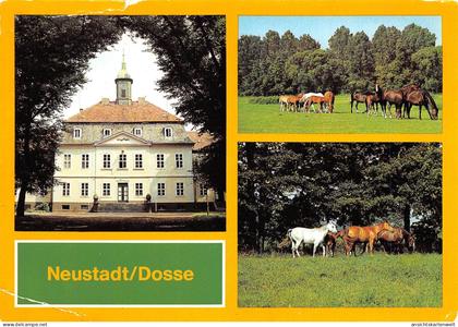 Neustadt/Dosse VE Hauptgestüt ngl #169.060
