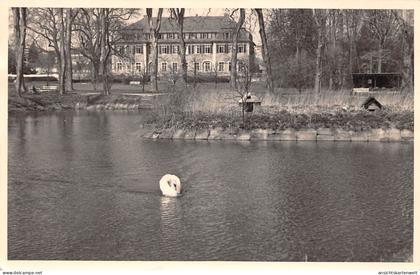 Werneuchen Uferpartie mit Schwan gl1959 #168.113