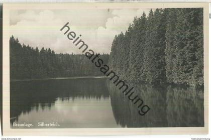 Braunlage - Silberteich - Foto-Ansichtskarte - Verlag Hans Rudolphi Braunlage 30er Jahre