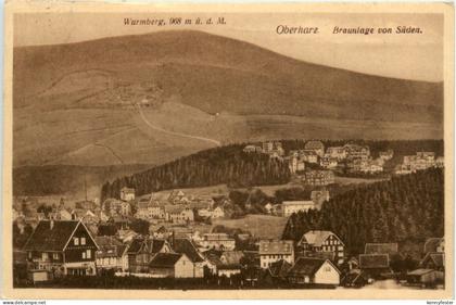 Braunlage, von Süden