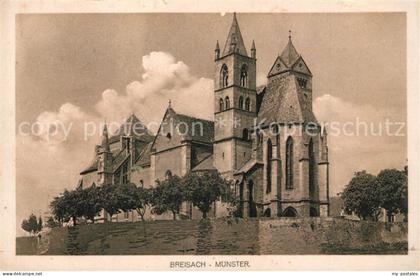 Breisach Rhein Muenster