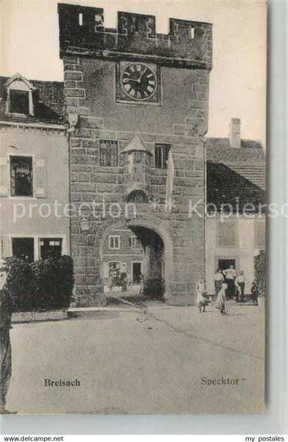 Breisach Rhein Specktor