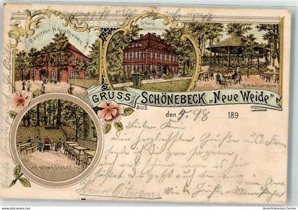 13629817 - Schoenebeck