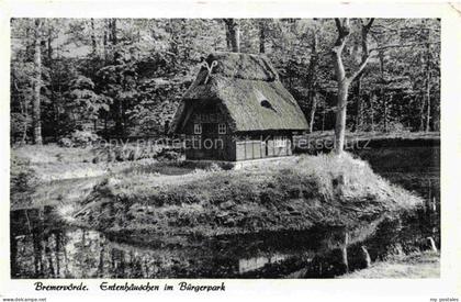 Bremervoerde Entenhaeuschen Buergerpark Reetdachhaus Teich Wald Idylle Insel