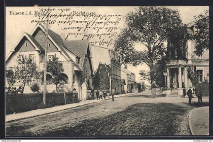 AK Briesen i. d. Mark, Blick in die Dorfstrasse