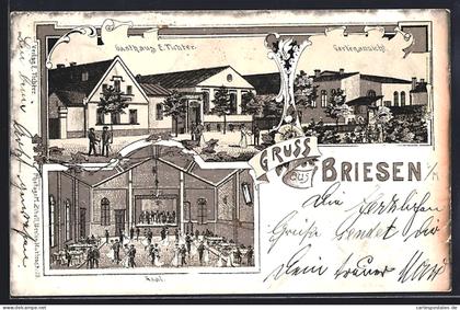 AK Briesen i. M., Gasthaus E. Tichter, Gartenansicht, Innenansicht vom Saal