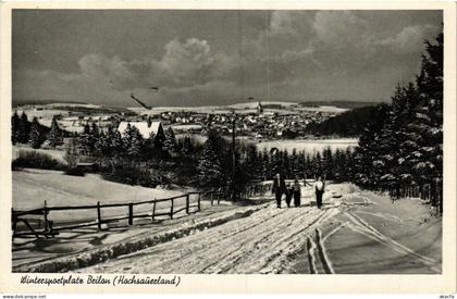 CPA AK Brilon -Wintersportplatz Brilon GERMANY (858019)
