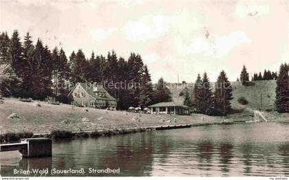 Wald Brilon Strandbad
