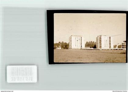 39591518 - Buchloe