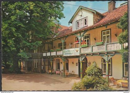 BÜCKEBURG - Forsthaus Heinemeyer - nicht gelaufen (AK 6674)