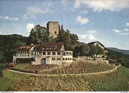 Buehl Baden Burg Windeck