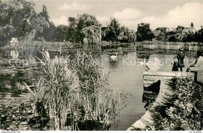 Buende Westfalen Schwanenteich Buergerpark