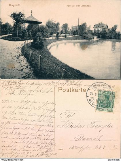Ansichtskarte Burgstädt Motiv aus dem Wettin-Hain 1913