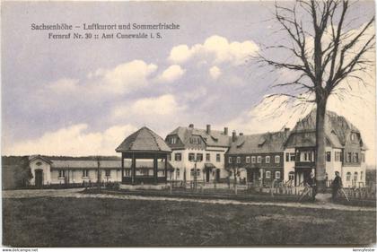 Cunewalde - Sachsenhöhe