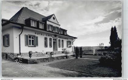 51391067 - Deidesheim