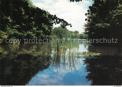 Dietzenbach Wollwiesenteich