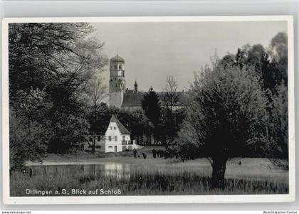 10029766 - Dillingen a d Donau