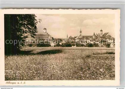 Dillingen Donau Panorama