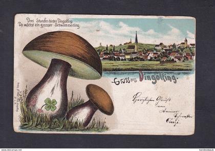 AK Gruss aus Dingolfing ( chromo lithographie champignons Ed. S. Hils)
