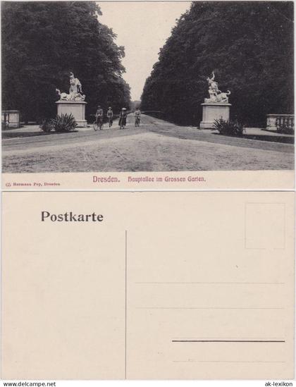Seevorstadt-Ost/Großer Garten-Dresden Hauptallee im Großen Garten 1914