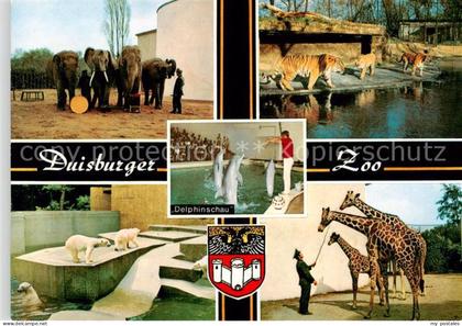 Duisburg  Ruhr Zoo Duisburg Eisbaeren Elefanten Giraffen Tiger