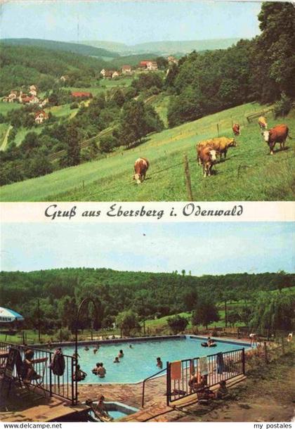 Ebersberg  Oberbayern Ortsansicht Kuehe Weide Odenwald Freibad Schwimmbad Badega