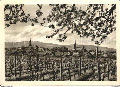 Edenkoben Panorama Kirchen