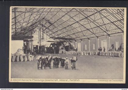 Dt. Reich AK Westafrikanische Pflanzungsgesellschaft Viktoria Kamerun
