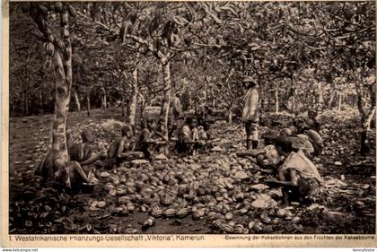 Kamerun - Westafrikanische Pflanzungs Gesellschaft Viktoria