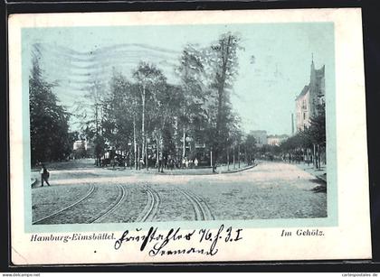 AK Hamburg-Eimsbüttel, Strassenpartie Im Gehölz