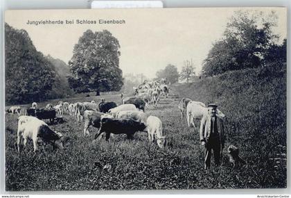 51173055 - Eisenach , Thuer