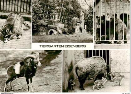 Eisenberg  Thueringen Tiergarten Eisenberg Waschbaer Braunbaeren Mufflon Wildsch