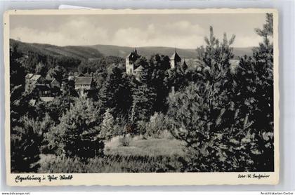 50585752 - Elgersburg