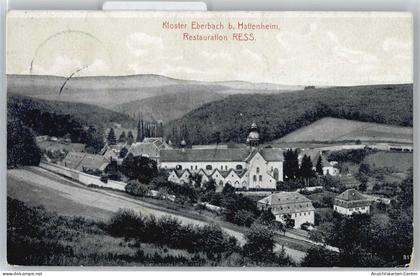 50547813 - Hattenheim , Rheingau