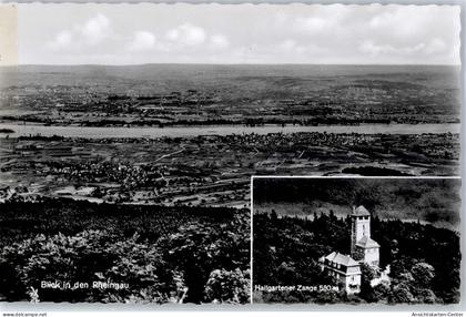 51435089 - Hattenheim , Rheingau