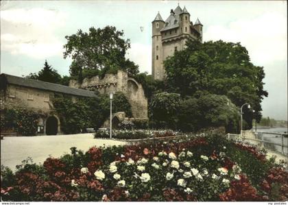 Eltville Burg