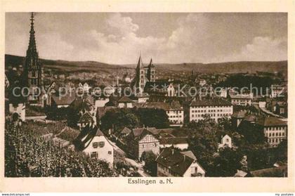 Esslingen Neckar Panorama