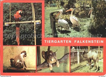 Falkenstein Vogtland Tiergarten Falkenstein Ara Meerkatzen Luchs Junges Kamel